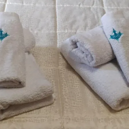 Le Rondini Nel Centro Di *