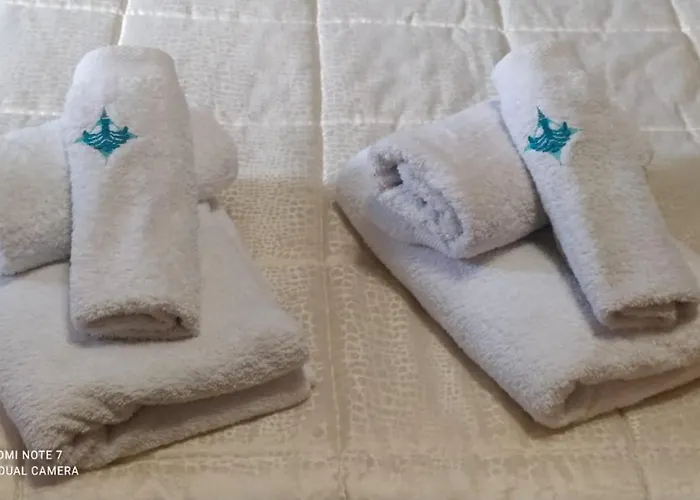 Le Rondini Nel Centro Di *