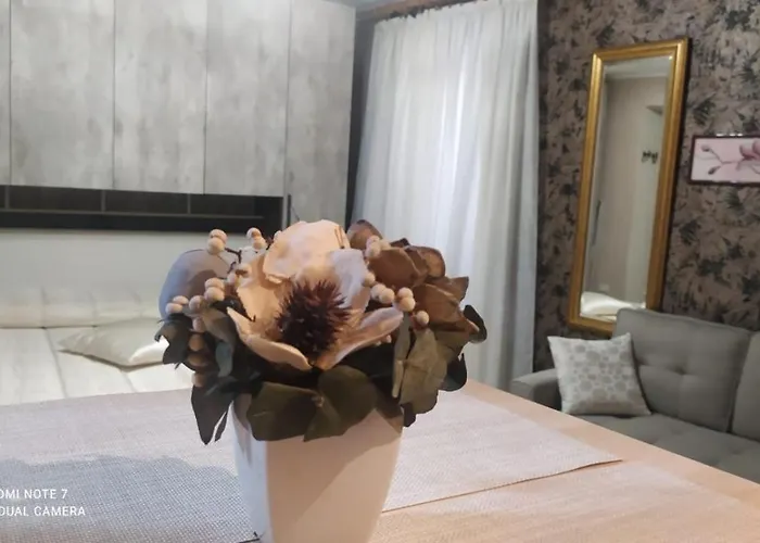 Le Rondini Nel Centro Di * Intra